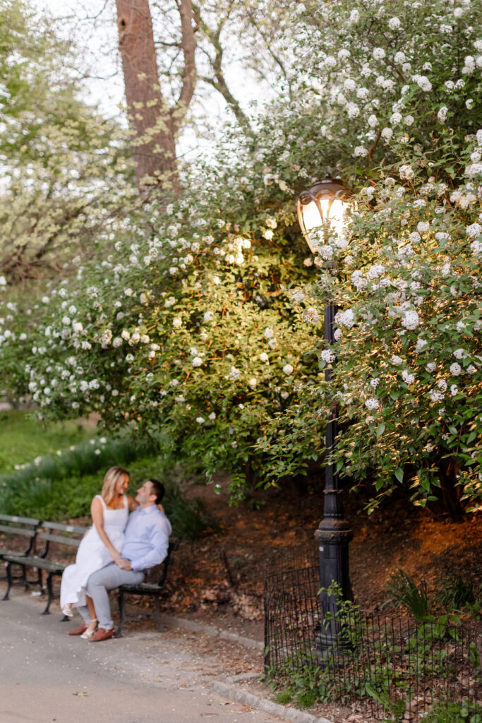 couple sitting on a bench in Central Park with a white rose bush in full bloom as their back drop, NYC Engagement Locations
